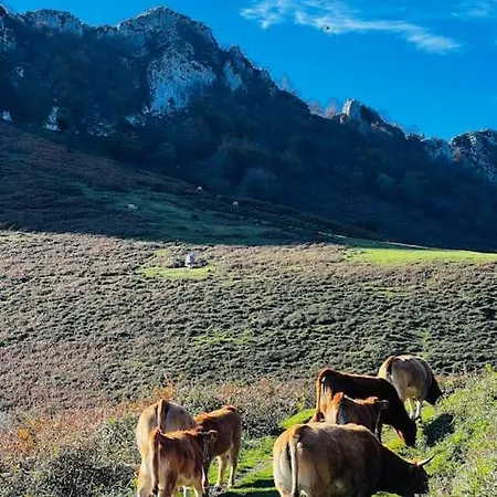 Apartamento Getaway To Paradise Asturias Serrapio